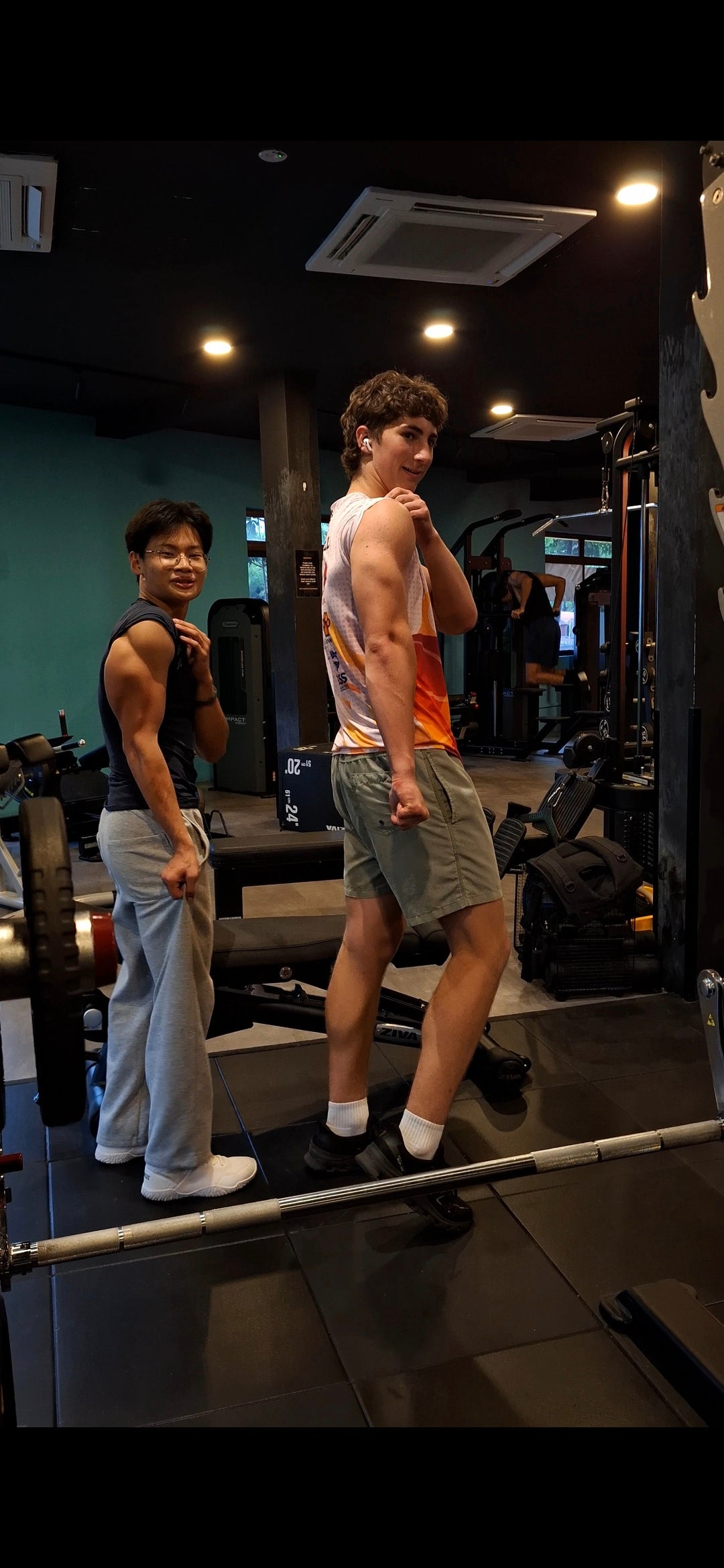 Bodybuilding shoulders and triceps programming
