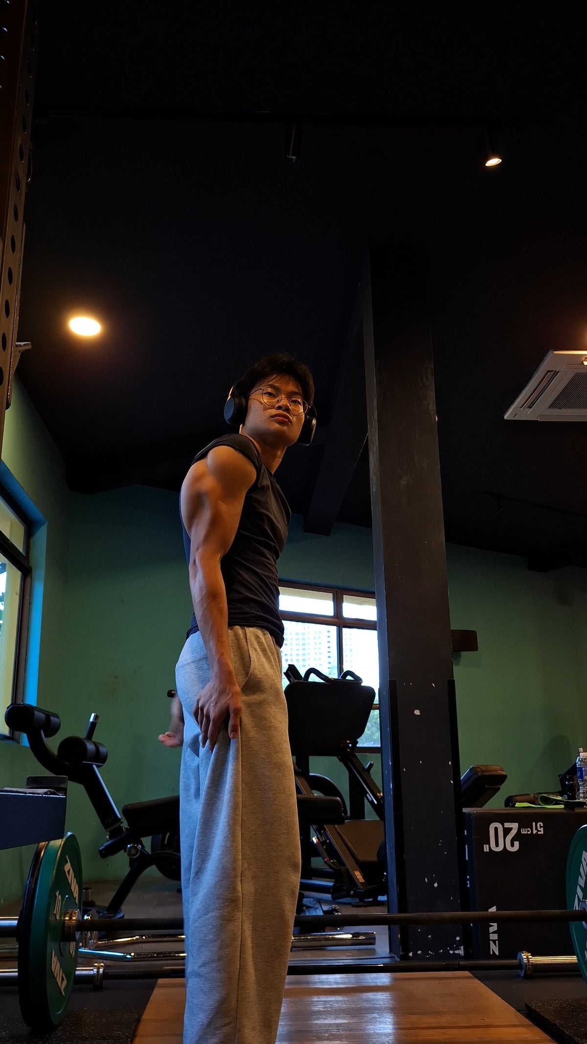 Bodybuilding shoulders and triceps programming
